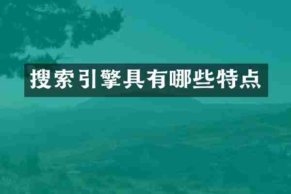 搜索引擎具有哪些特点