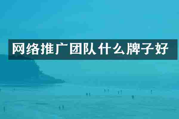 网络推广团队什么牌子好
