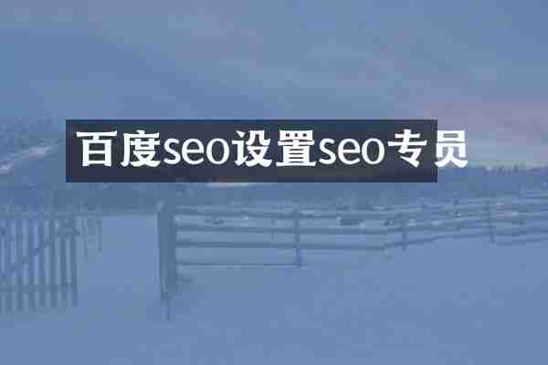 百度seo设置seo专员