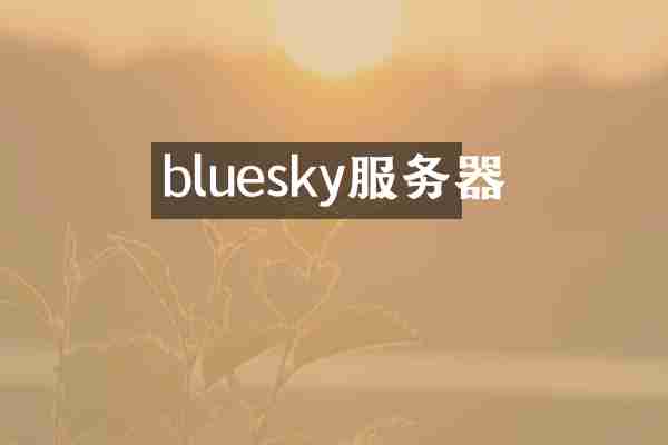 bluesky服务器