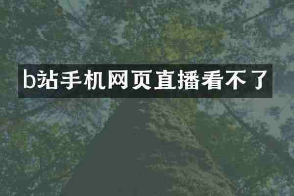 b站手机网页直播看不了