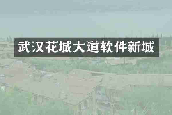 武汉花城大道软件新城
