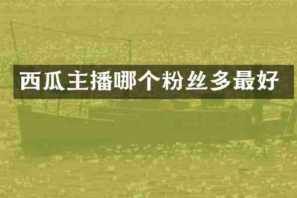 西瓜主播哪个粉丝多最好