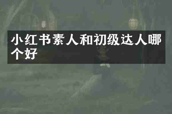 小红书素人和初级达人哪个好