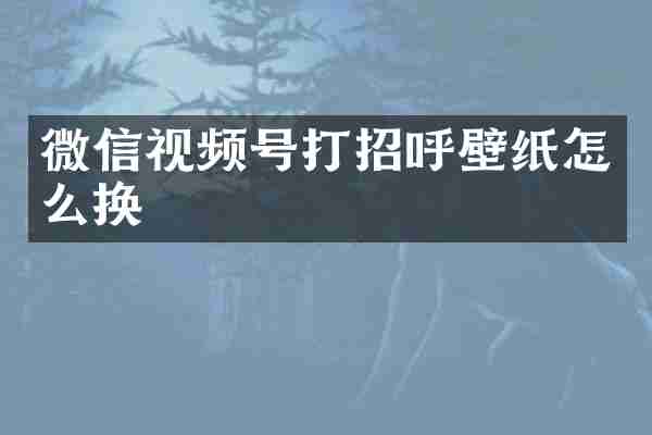 微信视频号打招呼壁纸怎么换