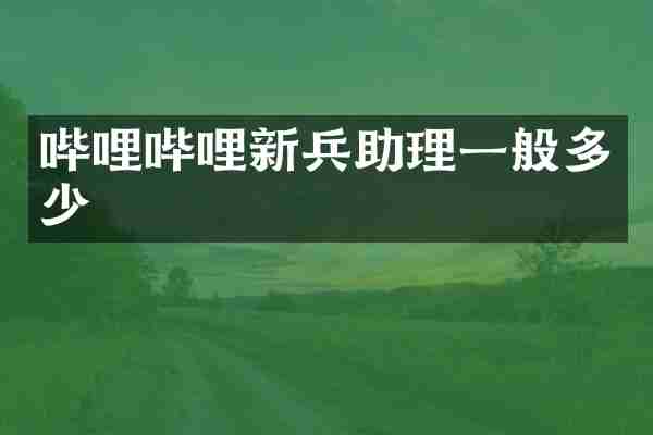 哔哩哔哩新兵助理一般多少
