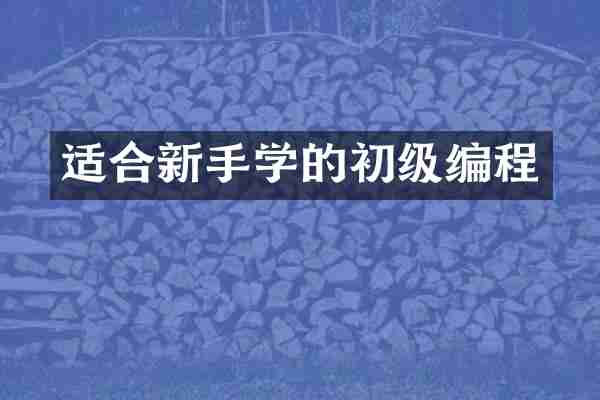 适合新手学的初级编程