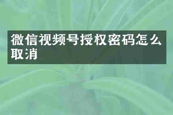 微信视频号授权密码怎么取消