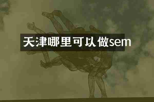 天津哪里可以做sem