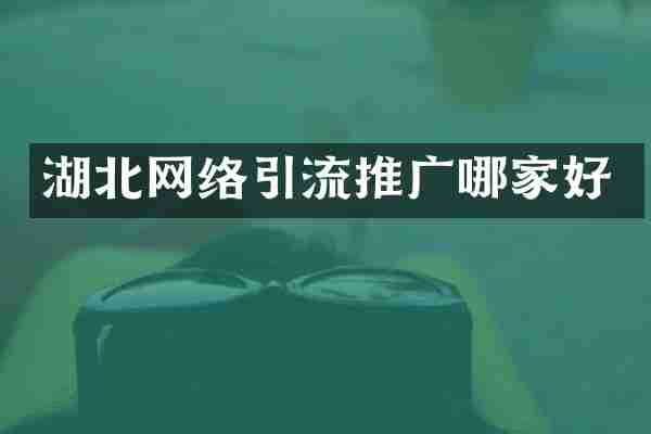 湖北网络引流推广哪家好