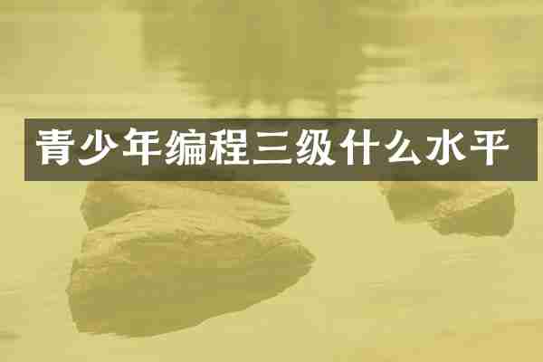 青少年编程三级什么水平