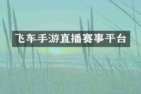 飞车手游直播赛事平台