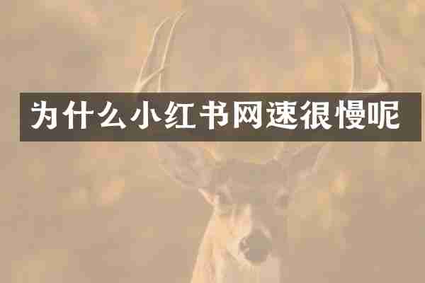 为什么小红书网速很慢呢