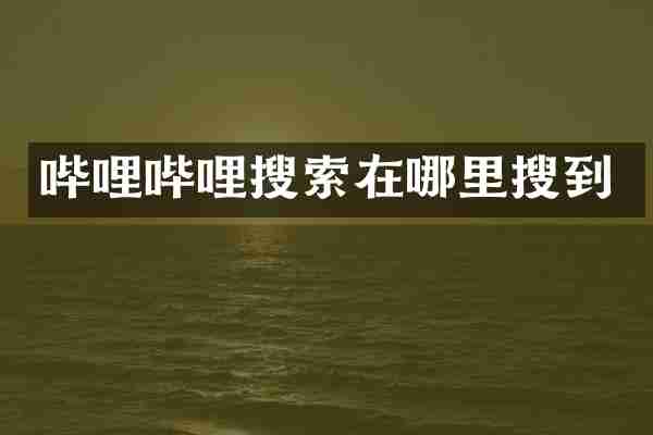 哔哩哔哩搜索在哪里搜到