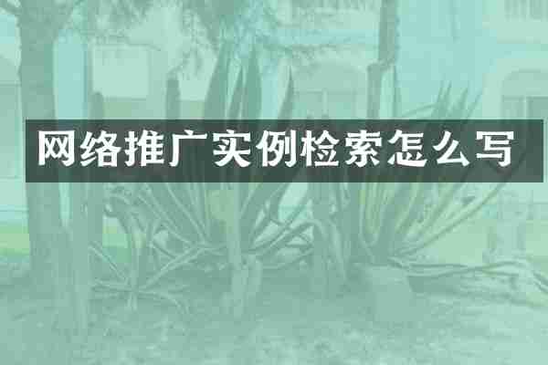网络推广实例检索怎么写