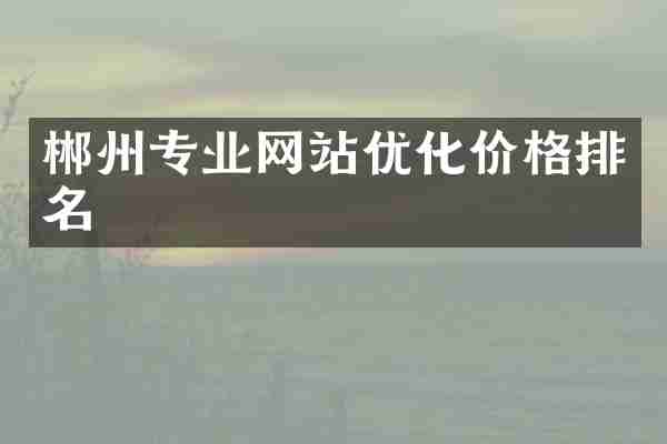 郴州专业网站优化价格排名