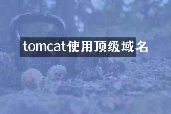 tomcat使用顶级域名