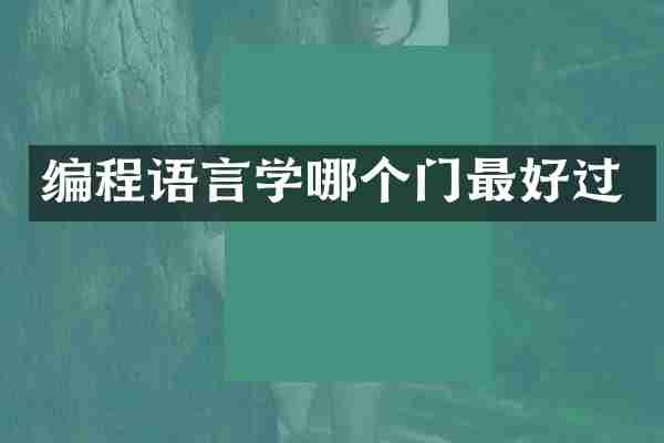 编程语言学哪个门最好过
