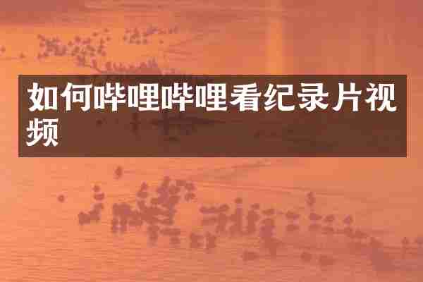 如何哔哩哔哩看纪录片视频