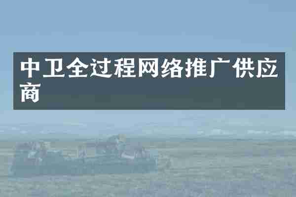 中卫全过程网络推广供应商