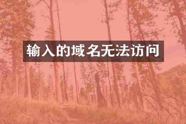 输入的域名无法访问