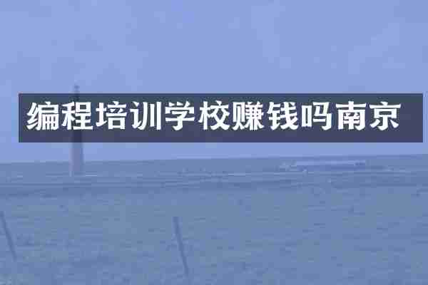 编程培训学校赚钱吗南京