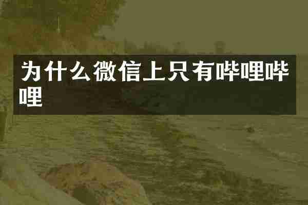 为什么微信上只有哔哩哔哩