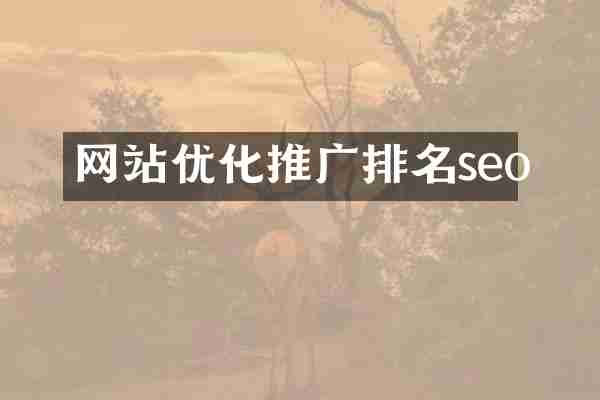 网站优化推广排名seo