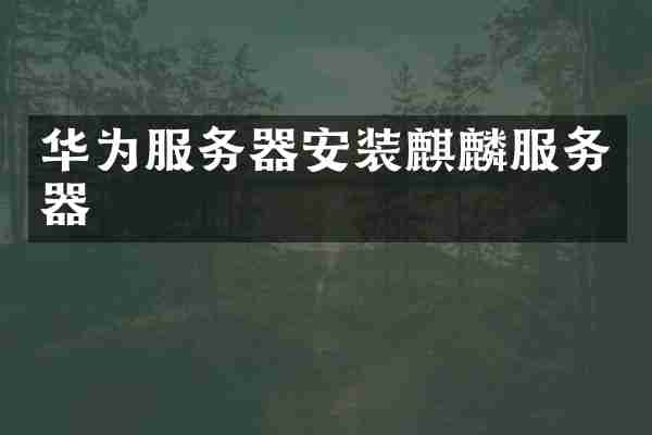 华为服务器安装麒麟服务器