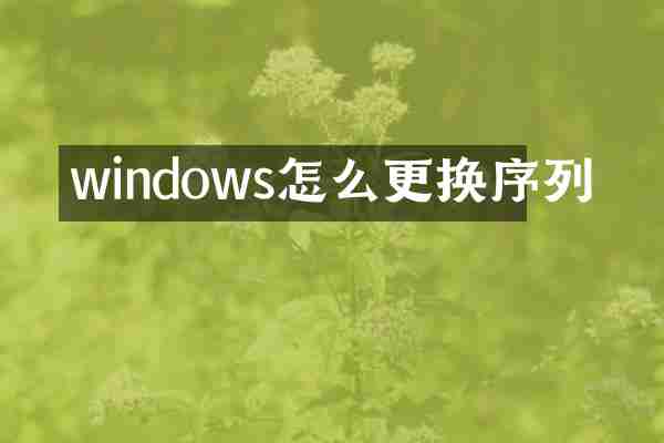 windows怎么更换序列