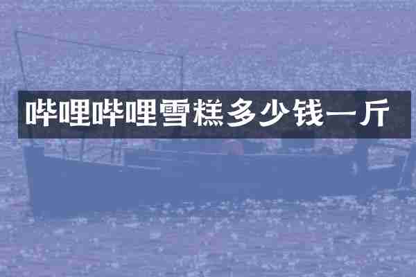 哔哩哔哩雪糕多少钱一斤