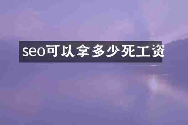 seo可以拿多少死工资