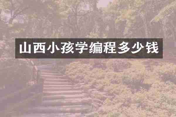 山西小孩学编程多少钱