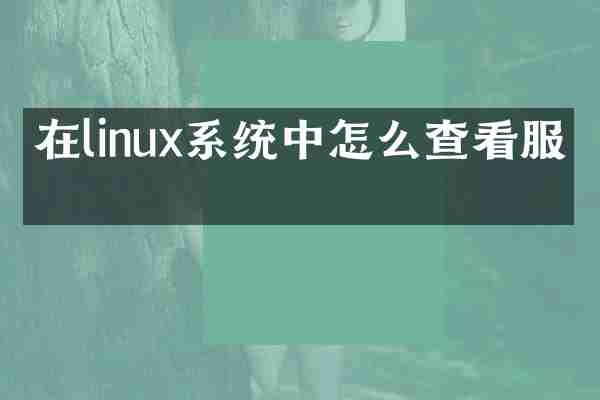 在linux系统中怎么查看服务