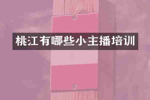 桃江有哪些小主播培训