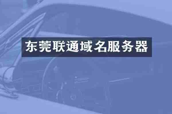 东莞联通域名服务器