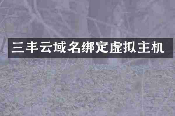 三丰云域名绑定虚拟主机