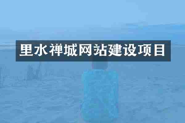 里水禅城网站建设项目