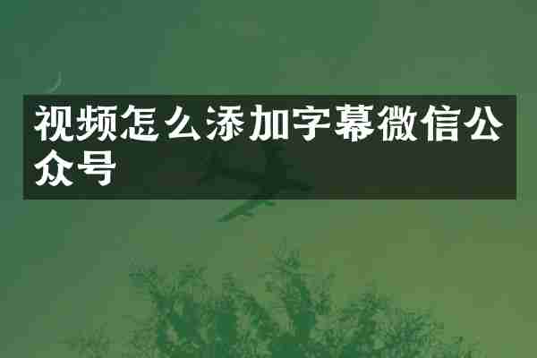 视频怎么添加字幕微信公众号