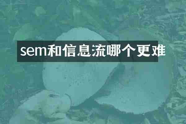 sem和信息流哪个更难