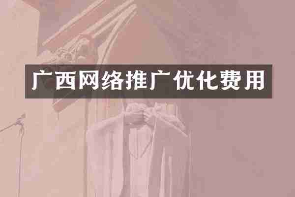 广西网络推广优化费用