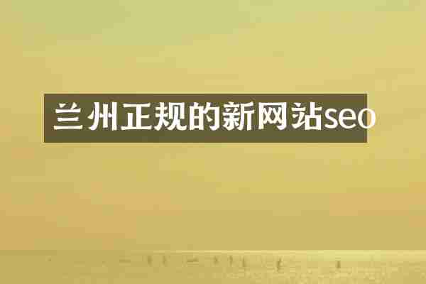 兰州正规的新网站seo