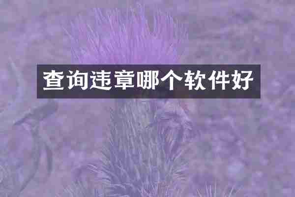 查询违章哪个软件好