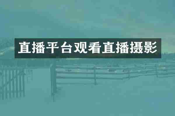 直播平台观看直播摄影