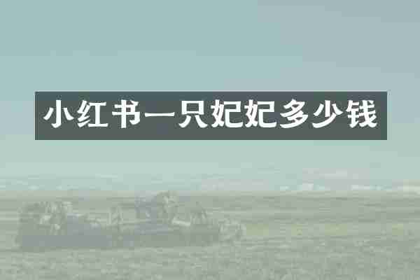 小红书一只妃妃多少钱