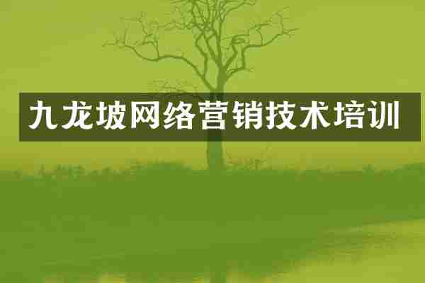 九龙坡网络营销技术培训