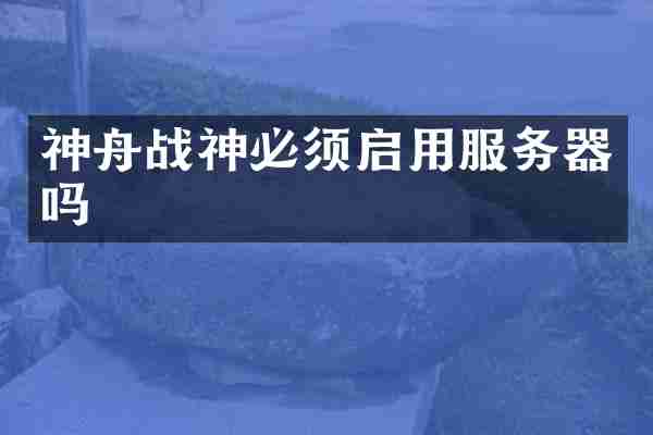 神舟战神必须启用服务器吗