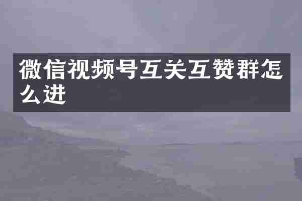 微信视频号互关互赞群怎么进