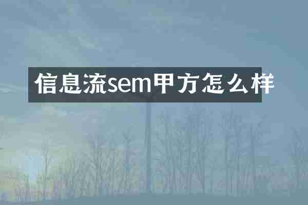 信息流sem甲方怎么样