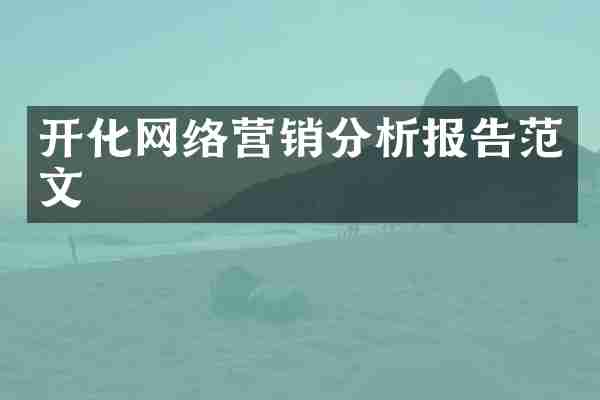 开化网络营销分析报告范文